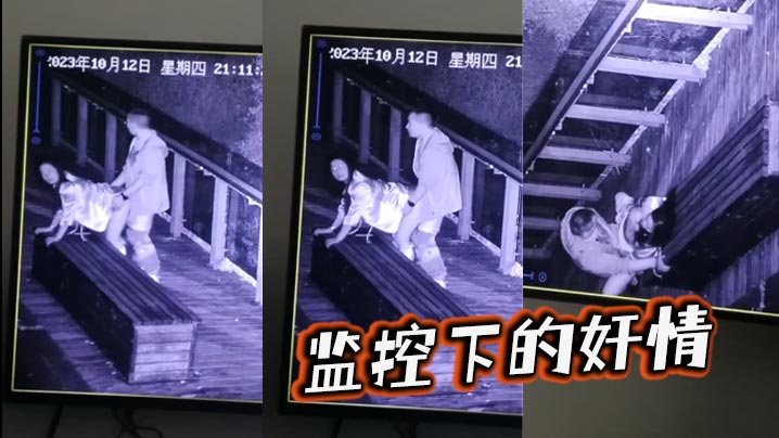 监控下的奸情.